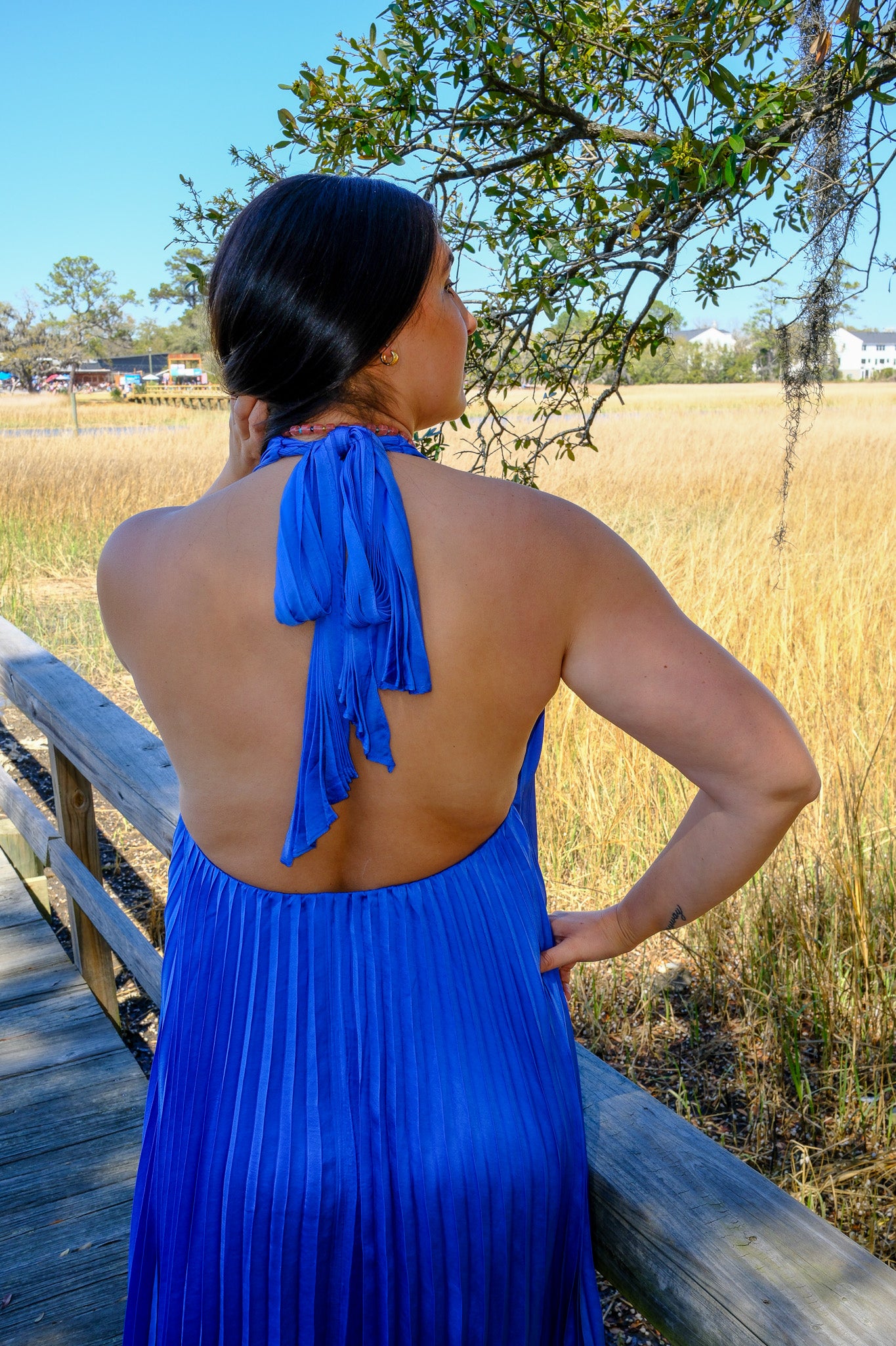 Blyth Pleated Halter Maxi Dress