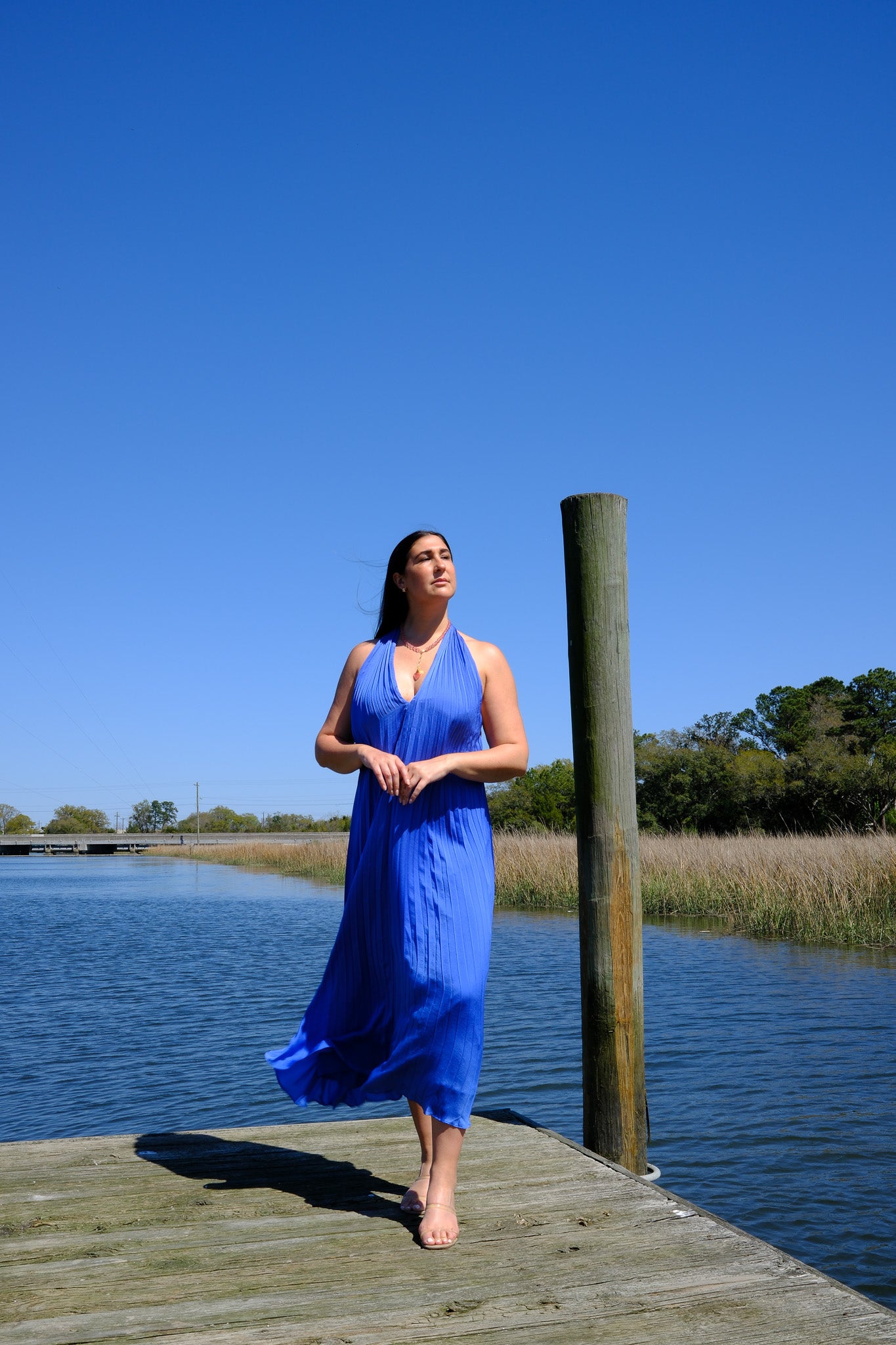 Blyth Pleated Halter Maxi Dress