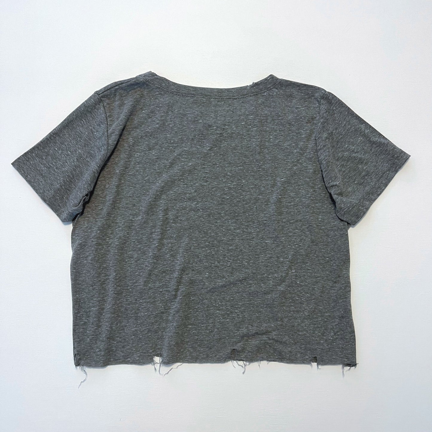 Sonny & Cher Cropped Tee