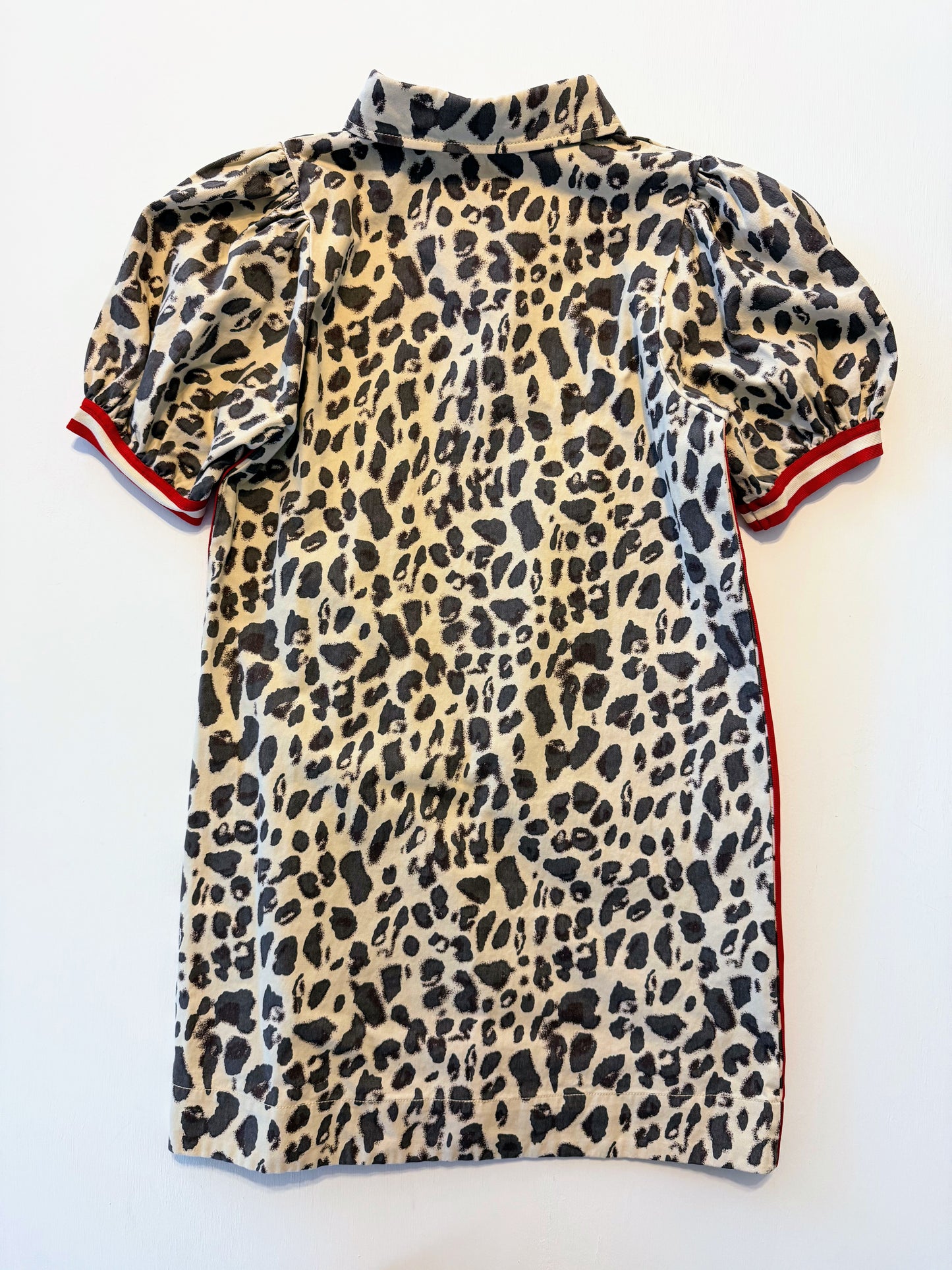 Lexie Cheetah Print Mini Dress