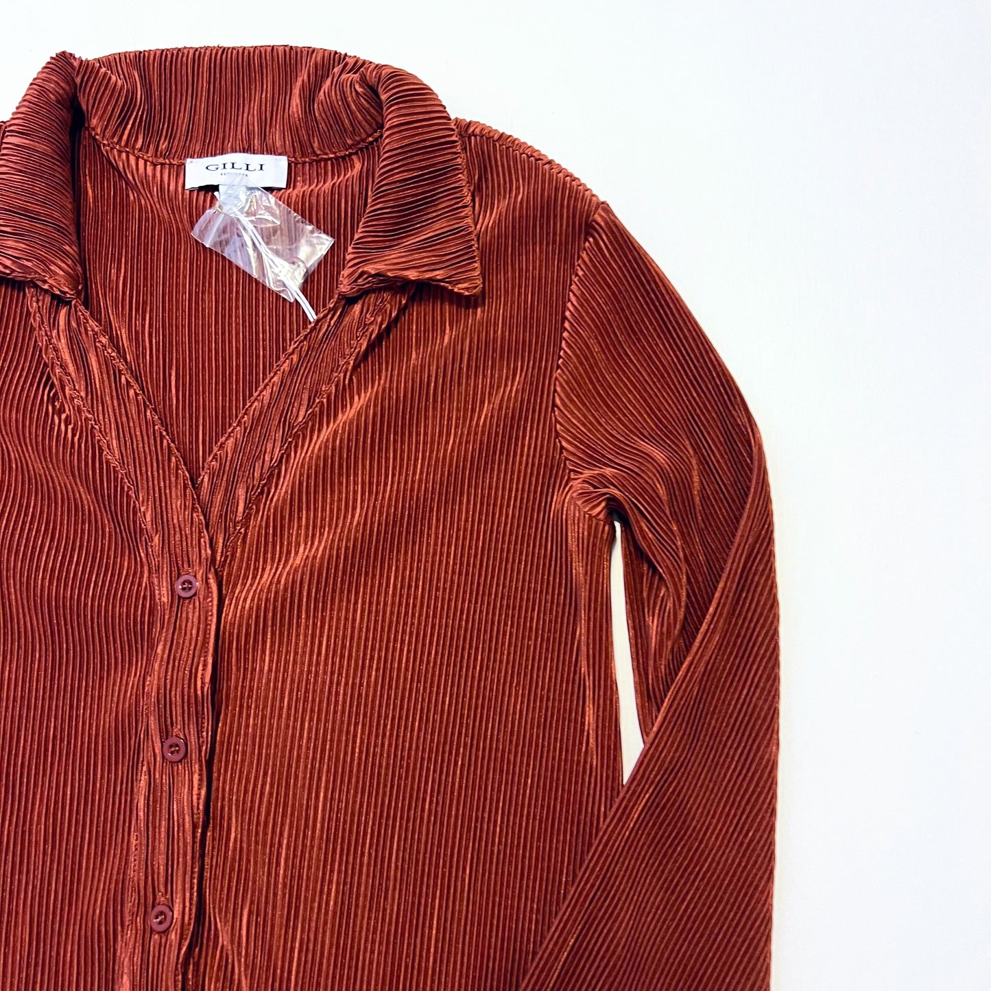 Evelyn Pleated Button Down Blouse