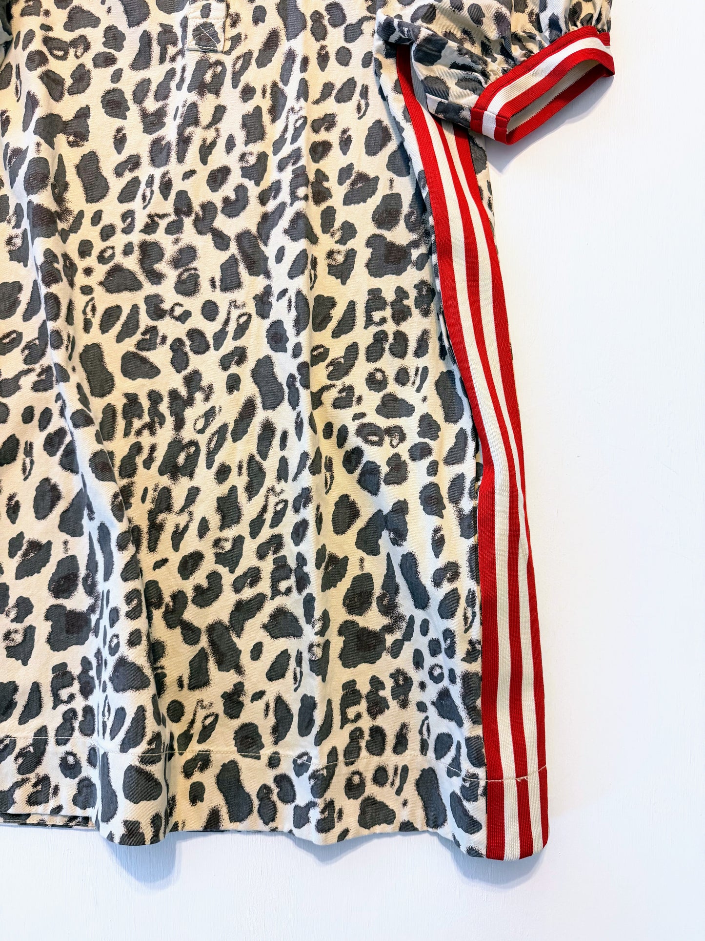 Lexie Cheetah Print Mini Dress